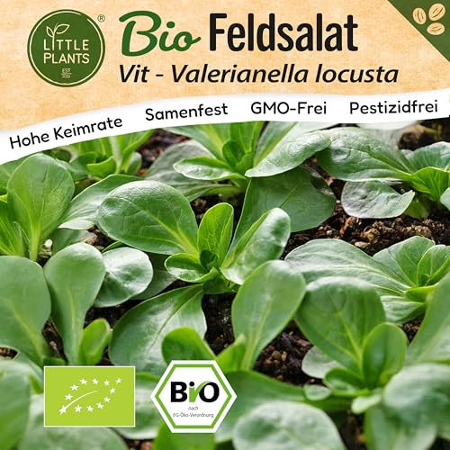 Little Plants BIO Feldsalat Samen 500 Feldsalatsamen Vit Gemüsesamen Salatsamen für Gemüsegarten Samenfest Gemüse Samen für Küche, Balkon und Garten