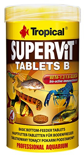 Tropical Supervit Tablets B Hauptfutter Bodentabletten, 1er Pack (1 x 250 ml)