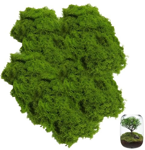 200g Künstliches Moos, Kunstmoos Zum Dekorieren Moosbild Selber Machen, Kunstmoos Zum Basteln, Moos Deko für Aquariumwandgestaltung Rasen Bonsai