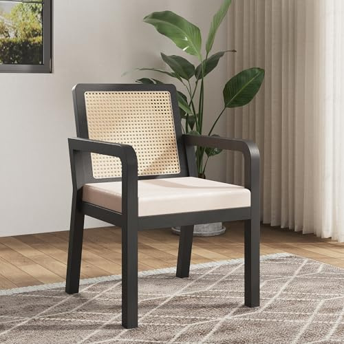 YAIXBNG velourtyg av hög kvalitet (2 stycken) matstol, sminkstol, ergonomisk stol, lätt lyxstol, rottingryggstöd, gummiträstolsben