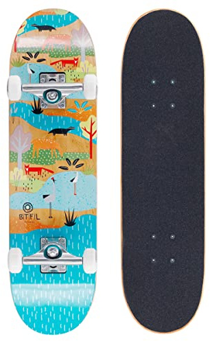BTFL Kinder Komplettboard, Kinder Skateboard 7.5 x 28 mit ABEC 9 Kugellager für Anfänger und Fortgeschrittene, Geschenke für Mädchen und Jungs: Bjoerk & Alice