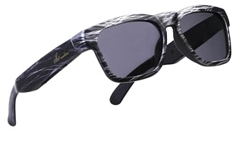 OhO sunshine AI Translation Lunettes intelligentes avec haut-parleur Bluetooth et lentille photochromique pour extérieur et intérieur, Argenté., Taille unique
