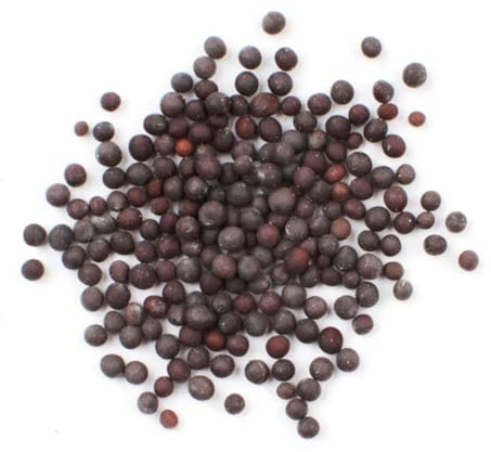 Semi di Senape Nera 500g | Grani Interi di Alta Qualità, Aroma Intenso e Piccante, Essenziali per Sottaceti, Marinature e Spezie Indiane | Aggiungi Profondità ai Tuoi Piatti Gourmet.