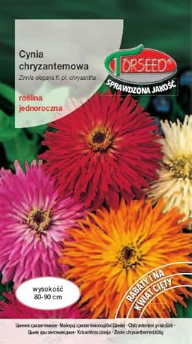 Verdica Chrysanthemenartige Zinnie Zinnia elegans Samen – Lebendige Mehrfarbige Blüten, Ideal für Schnittblumen, 80-90 cm Pflanzen, Einfach zu Züchten, Umweltfreundlich (1 Gramm)