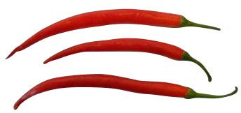 10 rojo Cayenne – > caliente pimienta semillas, por samenchilishop – Semillas store-