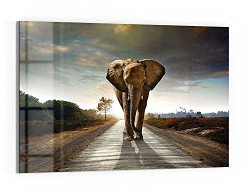 DEQORI Glas-Magnettafel | 60x40 cm groß | Motiv Elefant auf Asphalt | Memo-Board aus Glas | Magnetboard inkl. Magnete, Stift & Tuch für Küche & Büro | Tafel magnetisch & beschreibbar