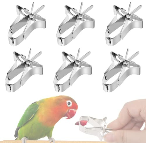 Lot de 6 supports de nourriture pour oiseaux pour perroquets, fruits, légumes, seiches - Pour oiseaux, hamsters, calopsittes, perroquets, petits animaux