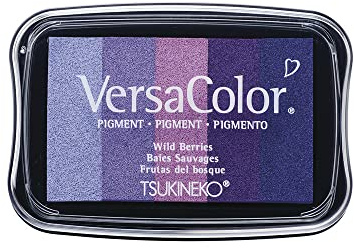 Rayher 2839739 Stempelkissen Versacolor, 5 Farben, Stempelfläche 4,7x7,5 cm, Lila-Töne