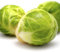 Brussels Sprouts Plants - 'Brigitte' - 6 x Plug Plant Pack - Brussels Plants - Vegetable Plug Plants - Garden Plants - Winter Veg Plug Plants - Garden Ready + Ready to Plant - Premium Quality Plants