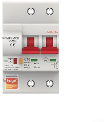 Interruttore WiFi intelligente, modulo fai da te per soluzione di automazione domestica intelligente, interruttore relè timer telecomando, per elettrodomestici, 2P (20A)