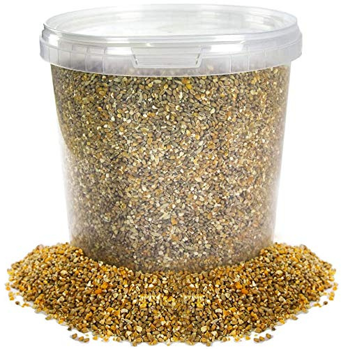BusyBeaks Mixed Poultry Corn | Premium Quality Natural Seed Feed Mixt | Rich in Vitamins and Calcium | Chicken Duck Geese Food | Helps Develop Strong Beaks Tough Bones & Healthy Feathers (1L Tub)