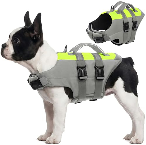 CITÉTOILE Hunde Schwimmweste mit Griff & Sicherheitsgurt Orange M | Rettungsweste für Hunde mit Auftrieb, Schwimmhilfe für Boot, Pool & Seen, Wassersicherheit für kleine bis große Hunde