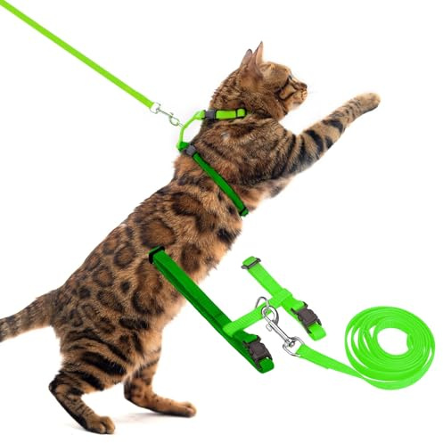 PUPTECK Verstellbares Katzengeschirr mit Leine, Set mit fluchtsicherem Kätzchenhalsband für Spaziergänge, gr¨¹n, M