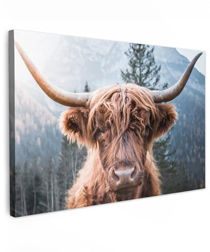 MuchoWow© Leinwand Bilder, Einzigartige Wanddeko mit Rahmen, Schottischer | 120x80 cm - Highlander - Berge - Porträt, Wandbilder Wohnzimmer, Deko Schlafzimmer