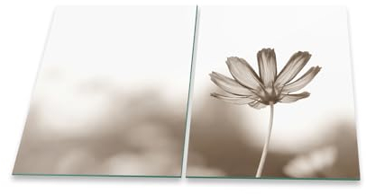 Herdabdeckplatte Abdeckung Ceranfeld Abdeckplatte Schneidebrett 2-Teilig 80x52 Blumen Grau Spritzschutz Glasplatte Ceranfeldabdeckung Schutz Herdschutz Sicherheitsglas Glasschneidebrett 2x40x52