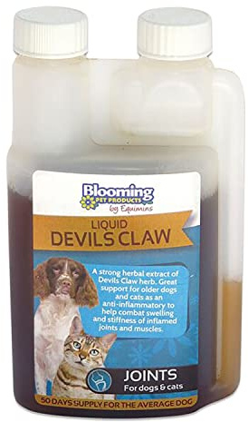 Vital - Lotin pour Chien / Chat - Extrait aux fines herbes Entretien Nutritionnel de la Santé des Os et Articulations - 250 ml