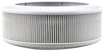 QUEENTY True HEPA Filter - Replacement H13 Filter for QUEENTY F006 Air Purifier (White)