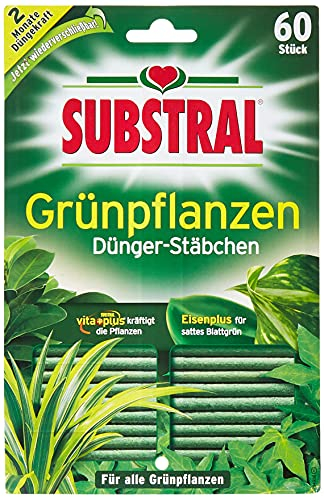 Substral Dünger-Stäbchen für Grünpflanzen mit Eisen-Plus und 2 Monate Langzeitwirkung, 60 Stück, green