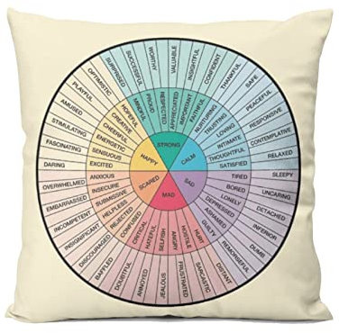 Therapy Circle of Emotions Feelings Wheel Chart Home Bedroom Cushion Pillow Covers Sofa Couch Decorative Square Throw Pillow Case 18x18 In