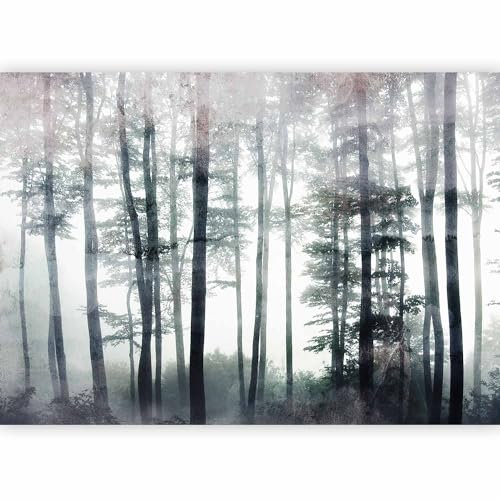 murando - Carta da Parati Adesiva Foresta Alberi 490x350 cm Fotomurali Adesivi Murali Rivestimento Parete Moderna per Pareti Adesiva Muro Decorativo Fotomurale Soggiorno Calcestruzzo come dipinto