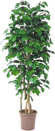 artplants.de Deko Eiche MIREEN, Natürliche Stämme, mit Früchten, grün, crossdoor, 225cm - Made in Italy - Kunstpflanzen Baum