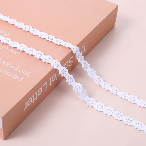 Vintage Spitzenband Borte, Weiß Spitzenstoff Spitzenborte Aus Baumwolle Dekoband Spitzenband für Handwerk, Scrapbooking, Hochzeit, Geschenkbox, Dekoratio(Breite 1 cm Länge 9,5 m)