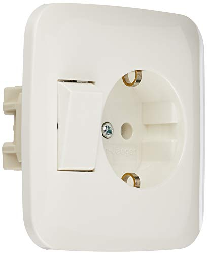 Busch-Jaeger 4310/6EUJ-214 Kombination SCHUKO Steckdose mit Wippschalter alp 4310/6 EUJ-214