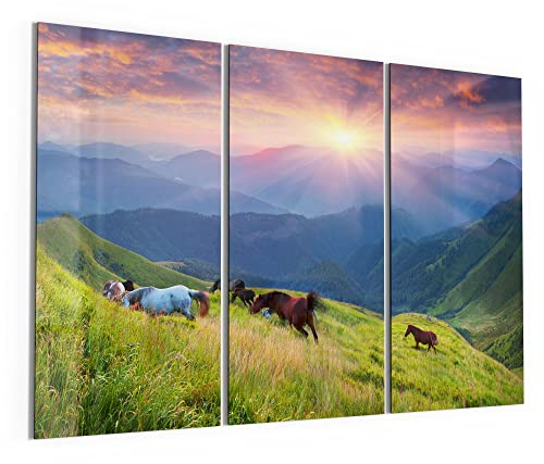 DEQORI Glasbilder Echtglas | Motiv Wildpferde in den Bergen | horizontal 3-teilig 150x100 cm | große XXL Deko | Wandbilder für Wohnzimmer, Schlafzimmer, Flur & Küche | moderne Wanddeko