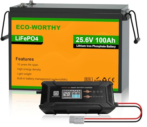 ECO-WORTHY LiFePO4 24V 100Ah mit 12V/24V 10A Ladegeräte,Lithiumbatterie 100AH mit 100A BMS und Max. 15000 Zyklens für Wohnmobil,Wohnwagen,Boot