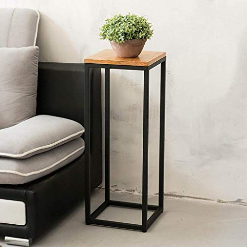 Porte-fleurs - Style Fer + Bois Massif Monocouche Porte-Fleurs Au Sol Salon Balcon Pot Rack Chlorophytum Étagère,30 * 30 * 50cm Huajia (Taille : 30 * 30 * 100cm)