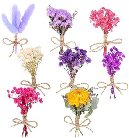 CAREDGO Mini Trockenblumen Natürliche Getrocknete Blumen Bunt Trockenblumenstrauß Klein Natürliche Getrocknete Blumen Deko Zum Basteln Trockenblumen Set für DIY Handgemachte Heimdekoration(8 Bündel)