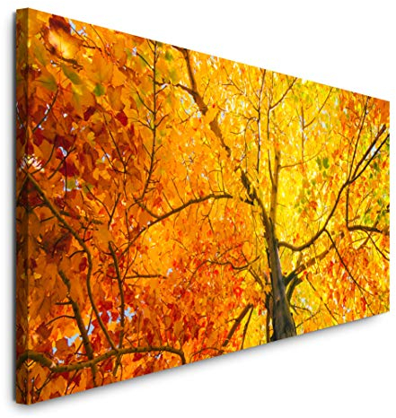 Paul Sinus Art GmbH Baum mit bunten Blättern 120x 50cm Panorama Leinwand Bild XXL Format Wandbilder Wohnzimmer Wohnung Deko Kunstdrucke