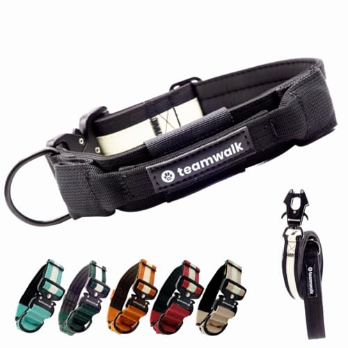 teamwalk® Premium Hundehalsband - mit Magnetgriff, Leuchtstreifen, Air-Tag Tasche, individuell einstellbar, weiche Polsterung, robuste Schnalle, mit passender Leine erhältlich, JETZT NOCH Leichter(L)