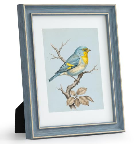 Afuly Vintage Bilderrahmen 20x25 Blau Retro Fotorahmen | Farbtreue und Oberflächenfinish, Klarglas, Wand oder Tisch, Wohnzimmer und Erinnerung, Geburtstag Geschenke
