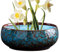 Bol à plantes | Rétro Céramique Rond Lys Cactus Bleu Bassin | Décoration de Table Maison Pot de Fleurs Décoration Intérieur pour Jardin