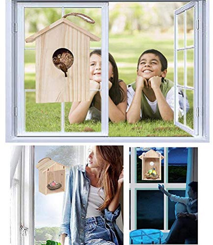 Vogelhaus, Vogelfutterstation, aus Holz, Hängender Nistkasten, Fensterkäfig für den Außenbereich mit Saugnäpfen, Zieht Vögel an, für Fenster, Naturholz, Robust, Langlebig, Sicher
