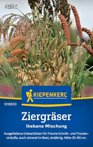 Kiepenkerl Ziergräsersamen Ikebana Mischung 1018650, Blumensaat | Ausgefallene Gräserblüten für frische Schnitt- und Trockensträuße, einjährig