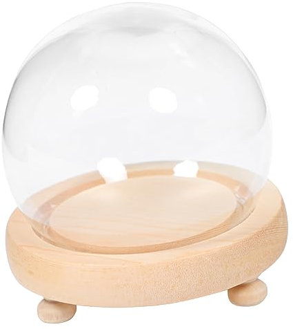 VICASKY Cupola di Vetro per Esposizione con Base in Legno Naturale, Copertura Decorativa Trasparente per Fiori Eterni e Micro Paesaggi, Set Decorativo per Arredamento Casa e Regalo