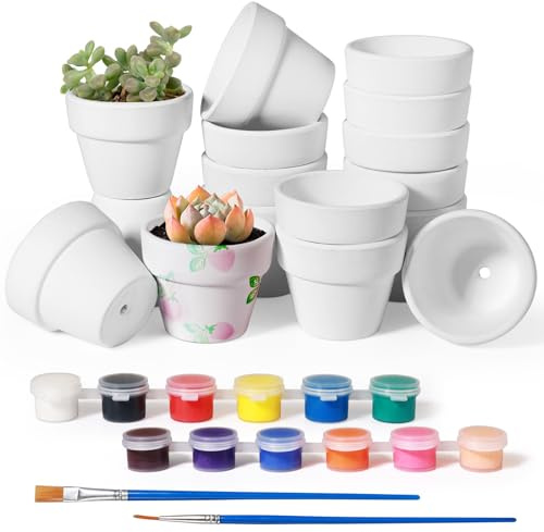 Annyswit 16 Pcs Mini Terracotta Plant Pots 4x5cm, White Clay Pots | With Paints & Brush, Drainage Holes, DIY Decorating Pots for Succulents, Cactus, Herbs, Indoor Crafts and Small Plants