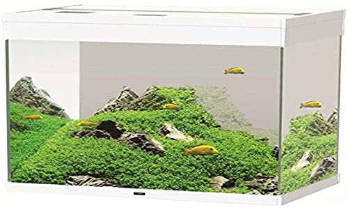 Askoll 280286 Emotion PRO Nature LED 100 Weiß mit Außenfilter Pratiko 200, L, Weiß