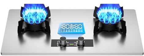 Estufa De Propano,Estufa De Propano Portátil De 2 Quemadores,Estufa De Gas De Acero Inoxidable,Máximo 29002BTU For Camiones De Comida Y Restaurantes Familiares (Color : NG, Size : Style 3)