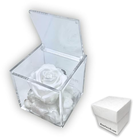 PREMIUM ROSE - Cubo Rosa Stabilizzata Bianca 5 cm con Marmo di Carrara - Rosa Eterna Stabilizzata Made in Italy - Idea per Matrimoni, Battesimi e Comunioni - Bianco 1058