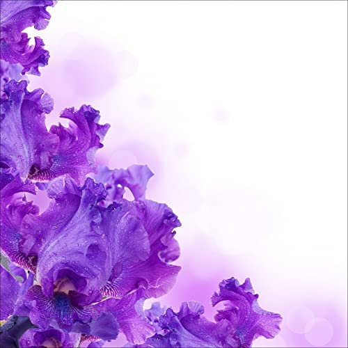 Stickers muraux déco : orchidée Dimensions: 50x50cm