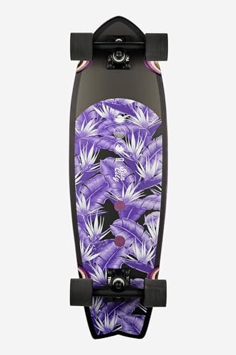 Sun City Bird Berry Cruiser, 76,2 cm Globe