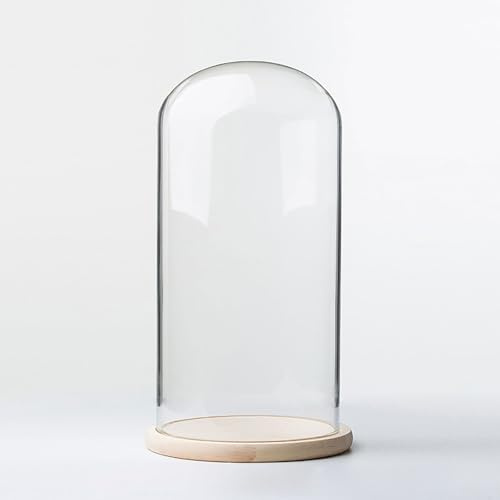 TIHONORI Dia 8 Cm Glass Cloche Dome Display with Solid Wood Base for Displaying Plants, Ornaments, Figurines,8 * 10cm
