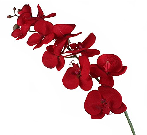 Yalulu 2 Stück Orchidee Künstliche Simulation Schmetterling Orchideen Blüte Blumen Hochzeit Haus Partei Home Deko (Rot)