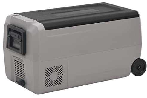 vidaXL Kühlbox mit Rollen und Griff Schwarz & Grau 36 L PP & PE