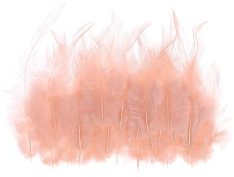 PATIKIL 100Stk 3-6 Sattel Hackle Gockel Feder Masse Naturfedern Plüschige Bastelfedern für Traumfänger Ohrringe Anhänger Rosa