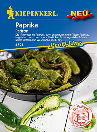 Kiepenkerl 2752 Pimientos de Padron (Paprikasamen)