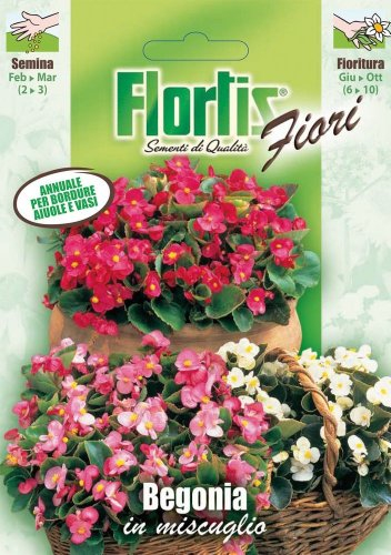 Flortis
